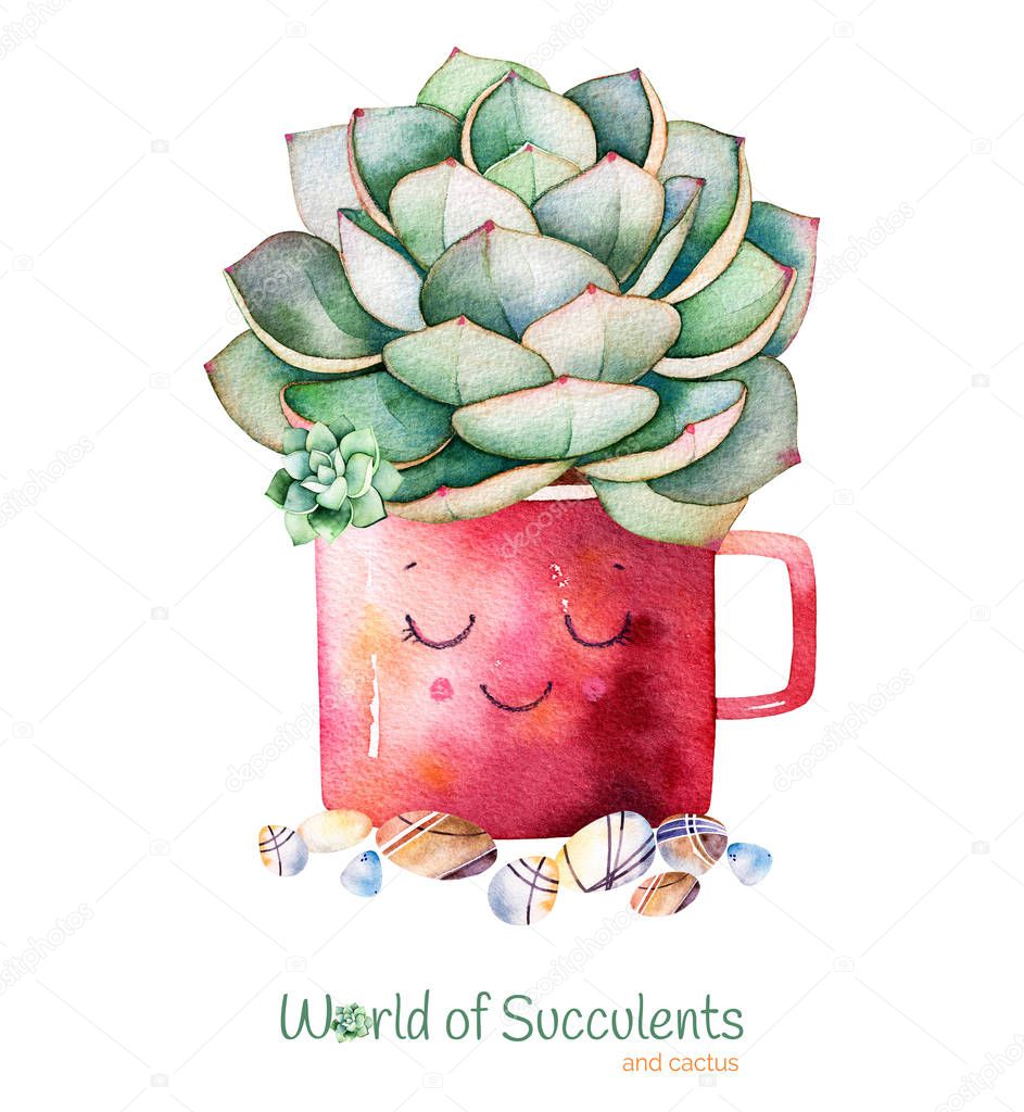 Watercolor handpainted succulent plant in pot and pebble stones.Watercolor clipart,individual flower pot isolated on white background.Perfect for your project,cover,wallpaper,pattern,gift paper,wedding