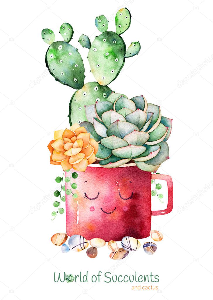 Watercolor handpainted succulent plant in pot and pebble stone.Watercolor clipart,individual flower pot isolated on white background.Perfect for your project,cover,wallpaper,pattern,gift paper,wedding