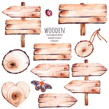9 suluboya ahşap dilimlerin clipart.