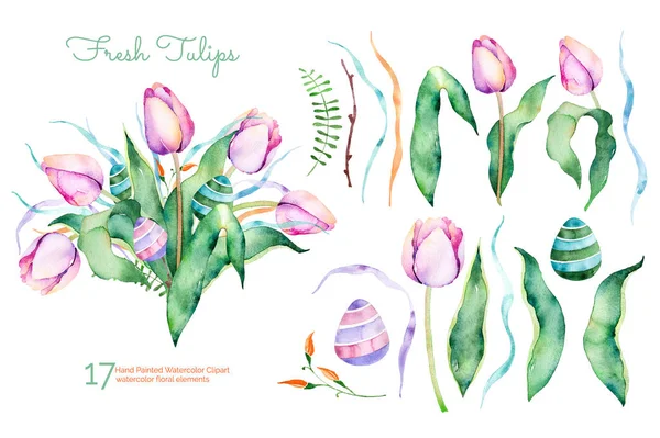 Finom tavaszi virágos kollekció — Stock Fotó