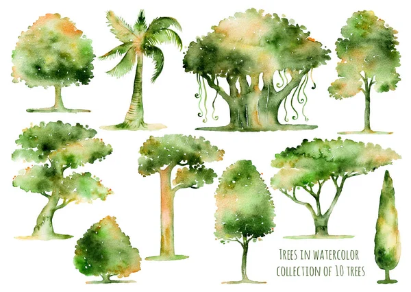 Reihe von handgezeichneten Aquarellbäumen. — Stockfoto