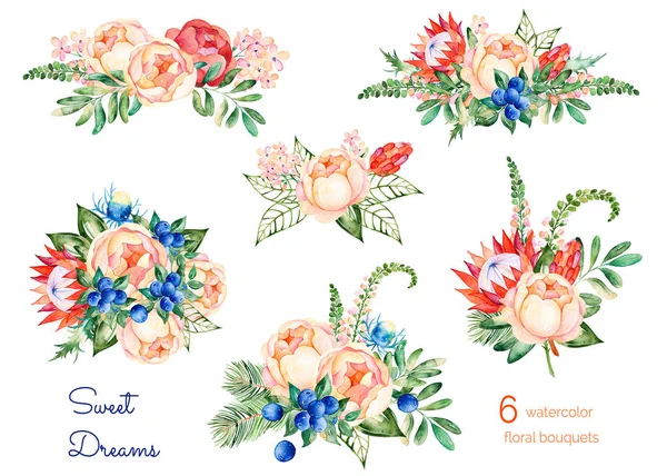 Conjunto colorido de elementos florais — Fotografia de Stock