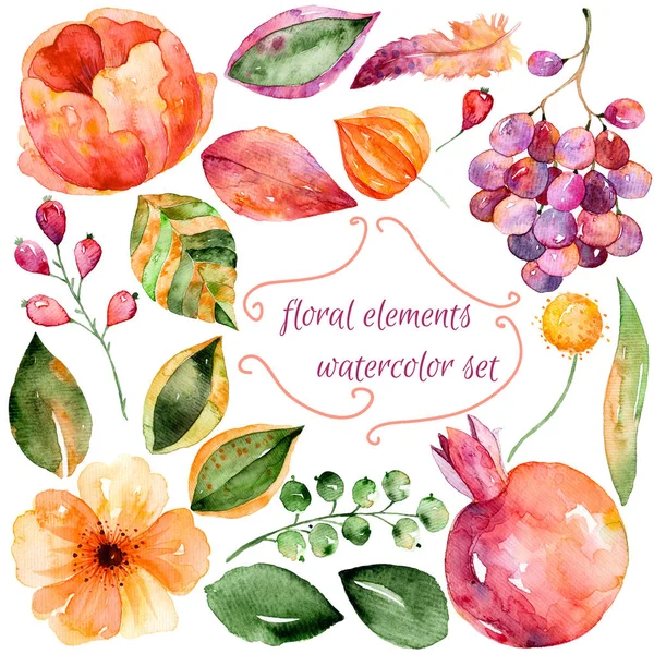 Diferentes flores e romã — Fotografia de Stock