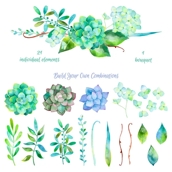 Collection florale colorée avec feuilles et fleurs — Image vectorielle
