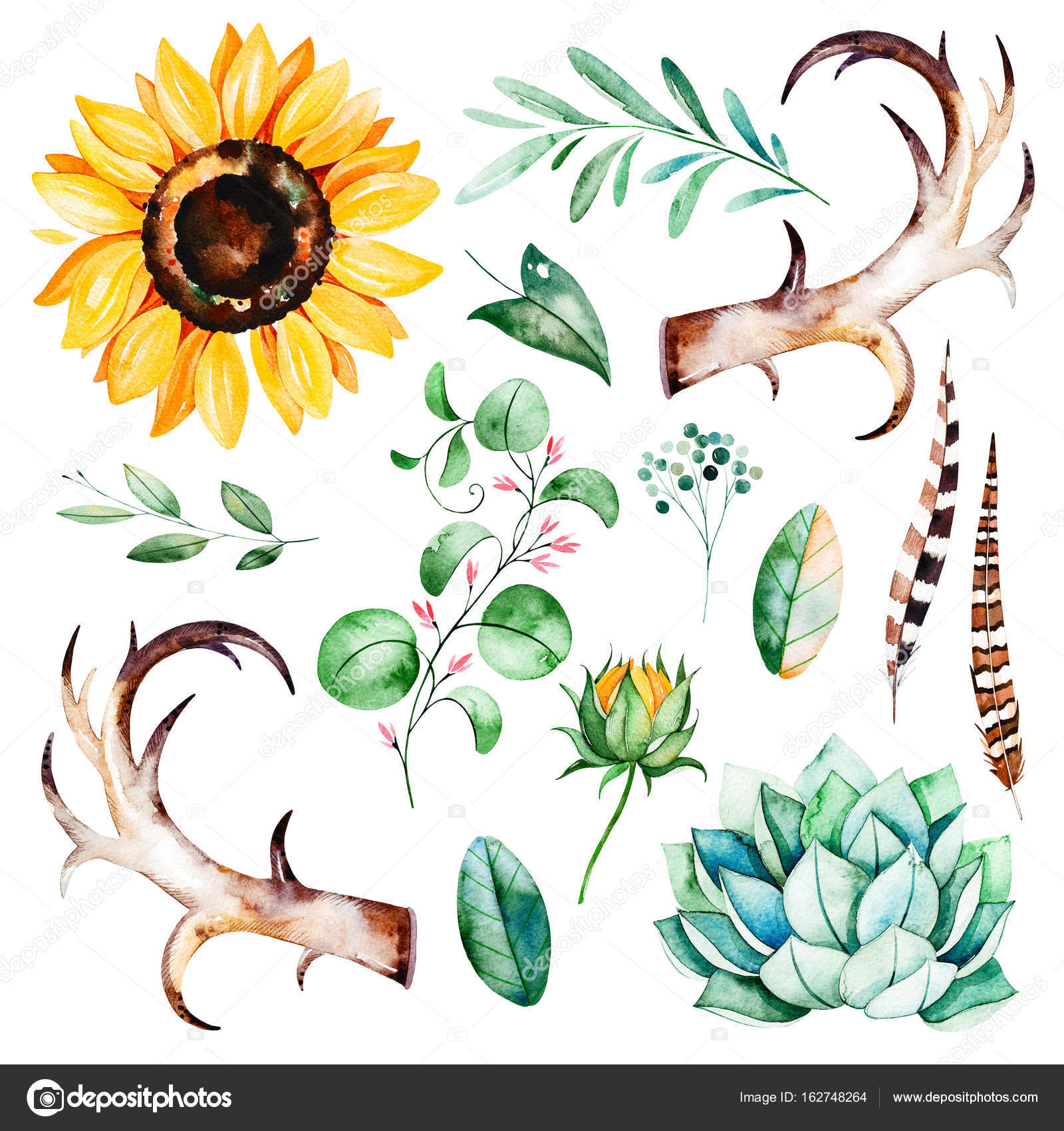 Download Watercolor Set Of Sunflower Leaves Stock Photo Image By C Katerina Skorik 162748264