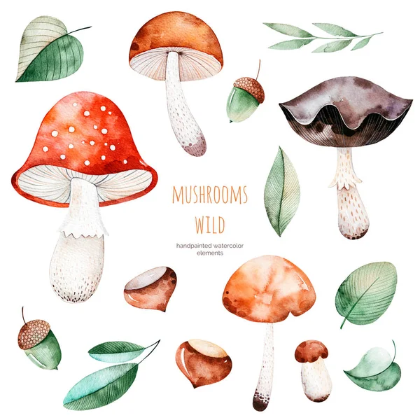 Podzimní pozdrav card s houbami — Stock fotografie