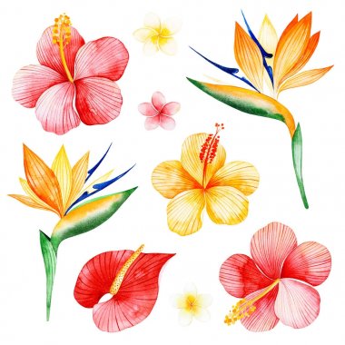 Çeviri: nazo82 Shagrathian