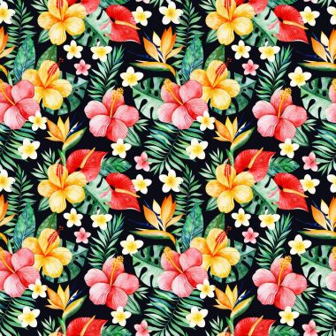 Çeviri: nazo82 Shagrathian