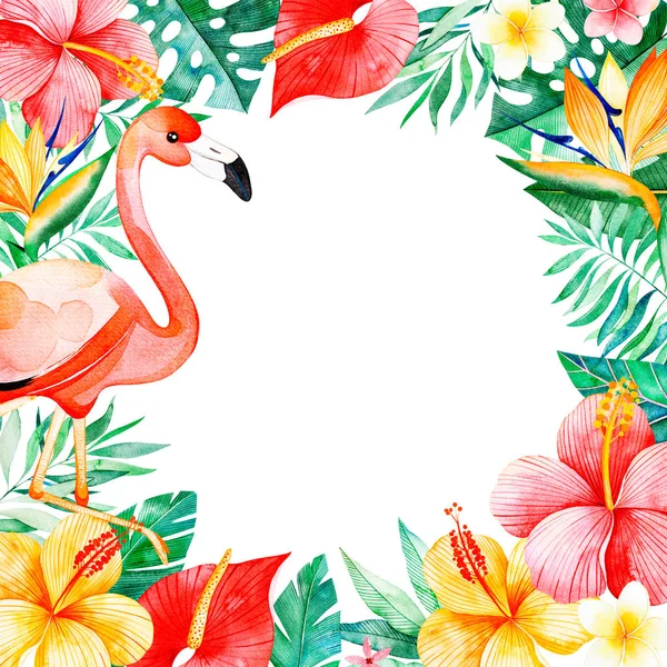 白色背景花框中粉红色火烈鸟的色彩图案 — 图库照片