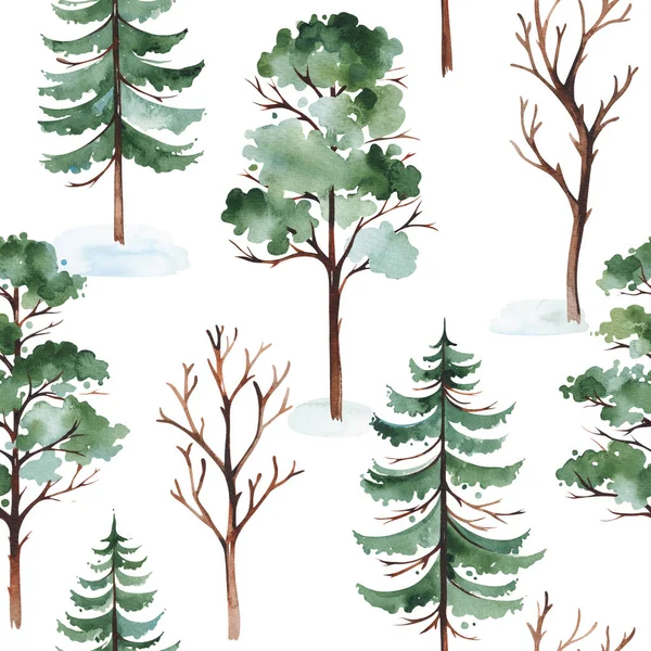 Handgezeichnete Waldbäume Isoliert Auf Weißem Hintergrund — Stockfoto