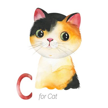 C harfi için kedi, çocuksu alfabe için yaratıcı suluboya çizimi