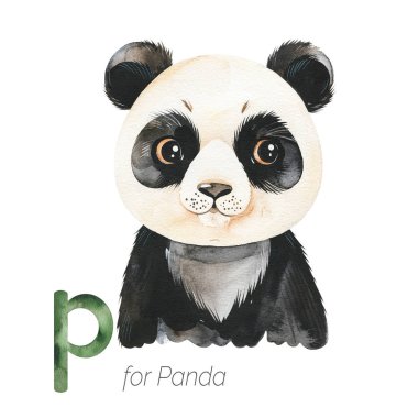 P harfi için panda, çocuksu alfabe için yaratıcı suluboya çizimi