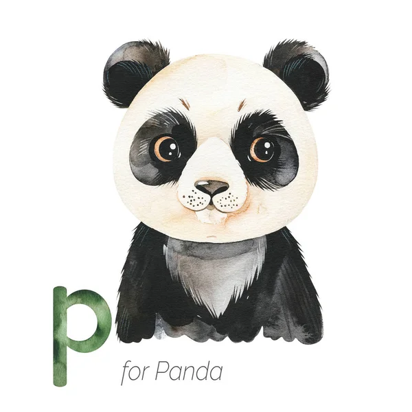 Panda alphabet Stock Photos, Royalty Free Panda alphabet Images