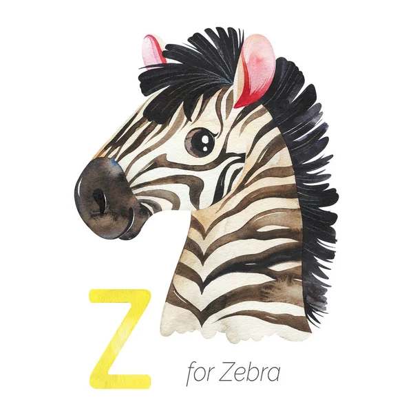 Zebra Literę Kreatywna Ilustracja Akwarelowa Dla Dziecięcego Alfabetu — Zdjęcie stockowe