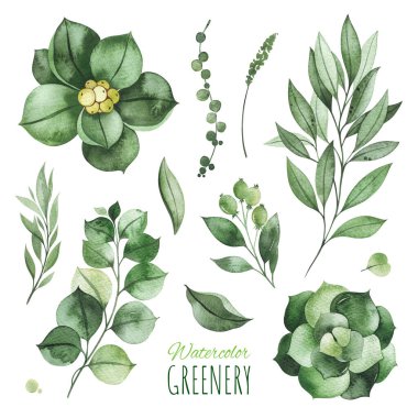 Beyaz arkaplanda yeşil yapraklar var