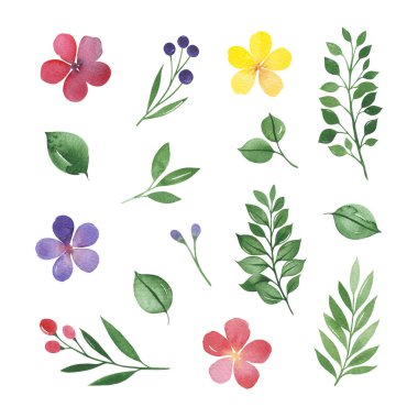 Beyaz arkaplanda yeşil yapraklar ve çiçekler var.