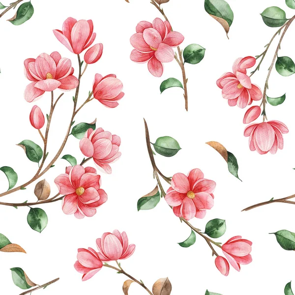 Magnolia Springtime Fundo Aquarela Ilustração Aquarela — Fotografia de Stock