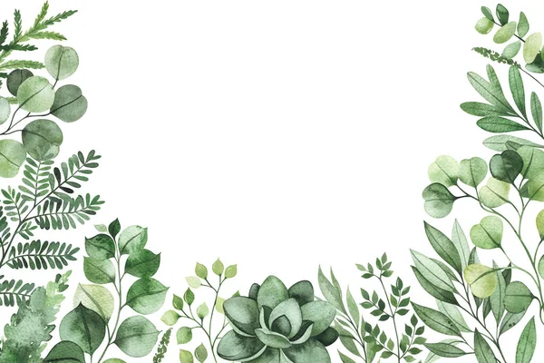 Foglie Verdi Isolate Sfondo Bianco — Foto Stock