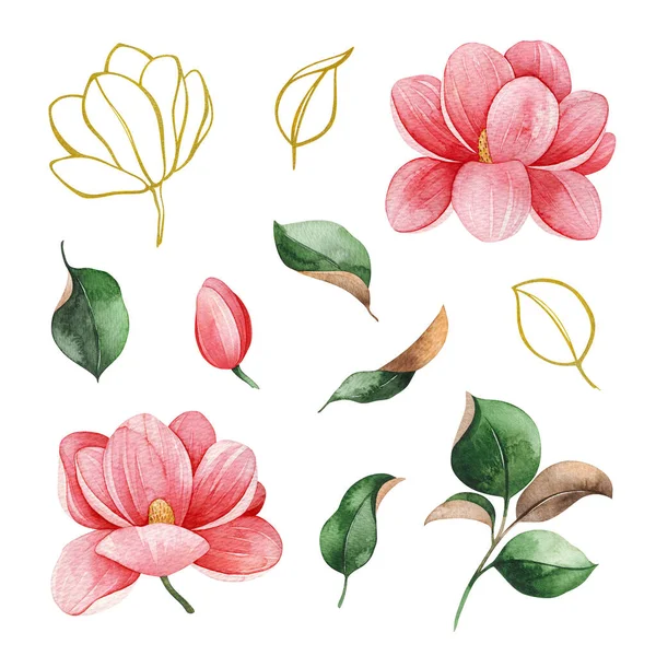 Magnolia Springtime Watercolor Background Watercolor Illustration — Stock Photo, Image