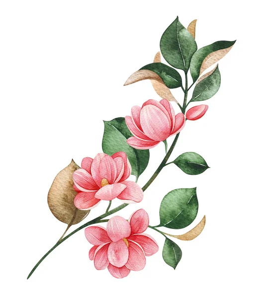Magnolia Springtime Ακουαρέλα Φόντο Εικονογράφηση Υδατογραφίας — Φωτογραφία Αρχείου
