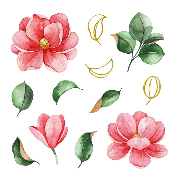 Magnolia Springtime Akvarell Háttér Akvarell Illusztráció — Stock Fotó