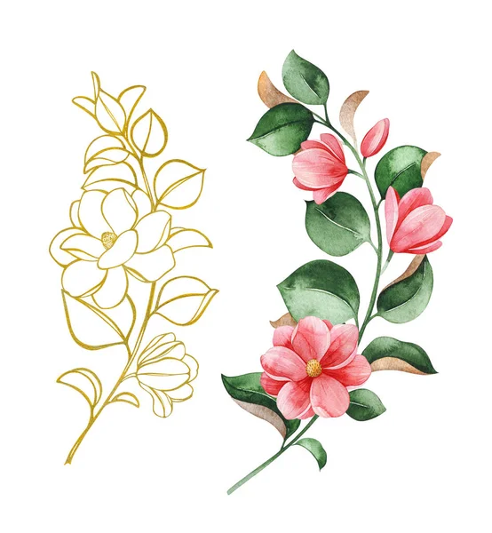 Magnolia Springtime Akvarell Bakgrund Akvarell Illustration — Stockfoto