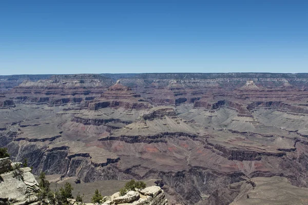 Visa Vid Södra Kanten Grand Canyon Phoenix Förenta Staterna — Stockfoto