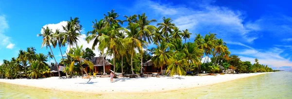 Tropical Island with palm trees, blue sky panorama