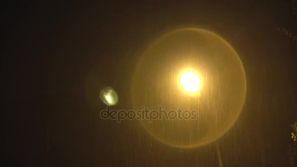 Светящийся светильник в темноте ночи и обильный дождь, городской фонарь — стоковое видео