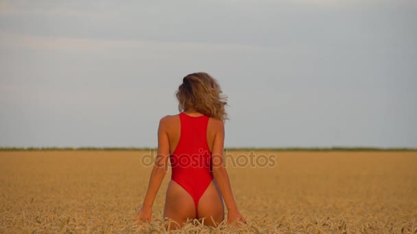 Ragazza in un campo in costume da bagno rosso. Rallentatore 120fps — Video Stock