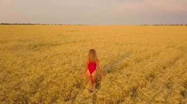 Genç güzel kız kırmızı alanda yürüyüş. Havadan görünümü. 4k
