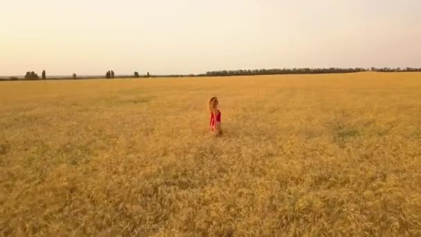 Junges schönes Mädchen in Rot, das auf dem Feld geht. Luftaufnahme. 4k — Stockvideo