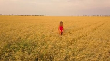 Genç güzel kız kırmızı alanda yürüyüş. Havadan görünümü. 4k