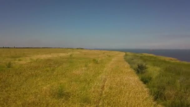 Vol au-dessus du champ vert avec un vol vers la mer. Vue aérienne 