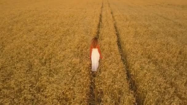 Hermosa chica en un campo con un vestido blanco. Vista aérea — Vídeos de Stock
