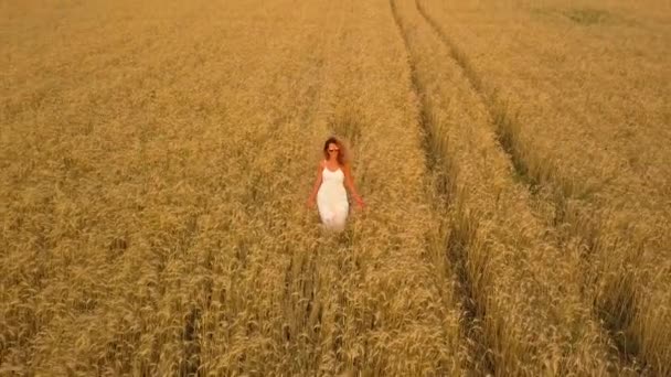 Beautiful girl in a field in a white dress. Aerial view — Stock Video