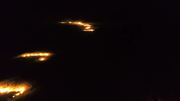 Vue aérienne de l'herbe sèche brûlant sur les terres agricoles la nuit — Video