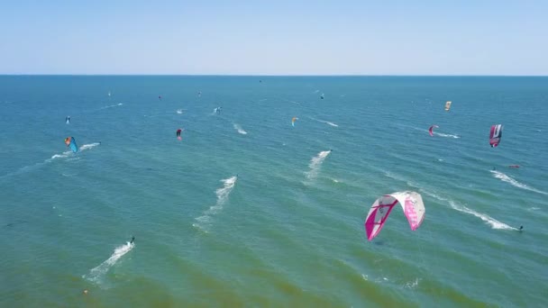 Aerial view of kitesurfing extreme sport with the wind freestyle. Beautiful top view of nice beach. Lots of kites — Stock Video