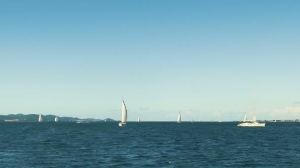 Segling. Fartyg båtar med vita segel i havet. Lyxiga båtar. Båten konkurrent till segling regatta. — Stockvideo