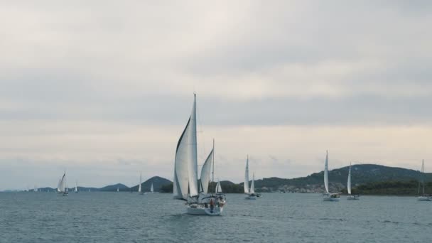 A navegar. Navio iates com velas brancas no mar. Barcos de luxo. Concorrente de barco de regata à vela . — Vídeo de Stock