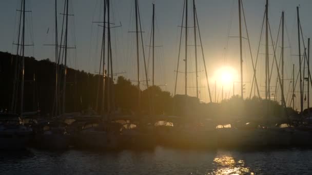 Segeln. Schiffsjachten mit weißen Segeln im Meer. Luxusboote. Teilnehmer der Segelregatta. — Stockvideo