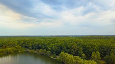 Hava Drone uçuş görüntüleri: Geri uçuş sakin su ve orman günbatımı yumuşak ışık yukarıda. Magestic peyzaj.