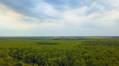 Hava Drone uçuş görüntüleri: Geri uçuş sakin su ve orman günbatımı yumuşak ışık yukarıda. Magestic peyzaj.