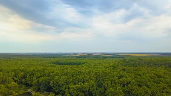 Aerial Drone Flight Footage: Back Flight above calm Water and forest in sunset soft light. Magestic landscape.