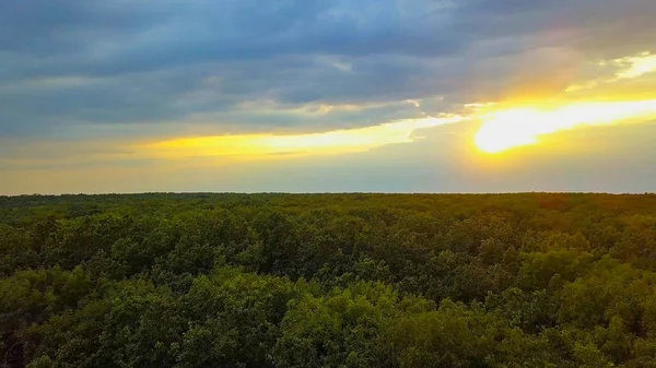 Aerial Drone Flight Filmato: Volo di ritorno sopra calma Acqua e foresta al tramonto luce soffusa. Paesaggio magico . Foto Stock Royalty Free