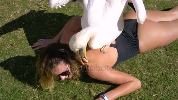 Pelican massages a young beautiful girl on the beach — Stock Video