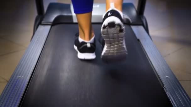 Mujer joven haciendo ejercicio en el gimnasio — Vídeos de Stock