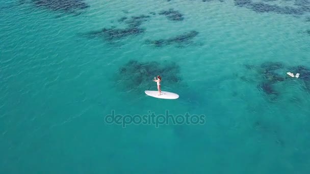 Luftaufnahme eines jungen Mädchens Stand Up Paddling im Urlaub. Kamerafahrt einer jungen Frau beim Boarding — Stockvideo