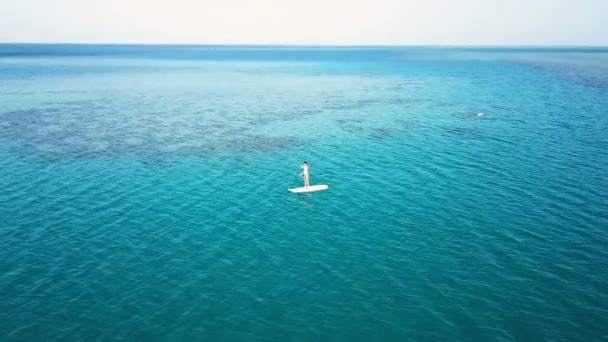 Vista aérea de chica joven de pie remando en vacaciones. Tracking shot of a young woman SUP boarding — Vídeo de stock