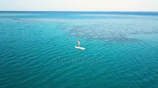 Vista aérea de chica joven de pie remando en vacaciones. Tracking shot of a young woman SUP boarding — Vídeos de Stock